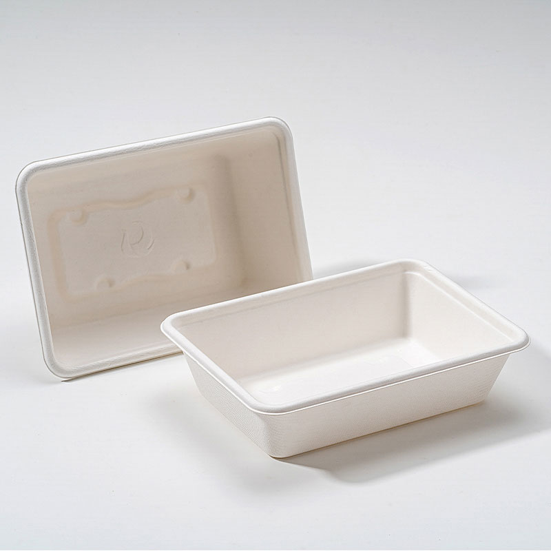 Miks on Bagasse Square Box säästva toidupakendamise tulevik?